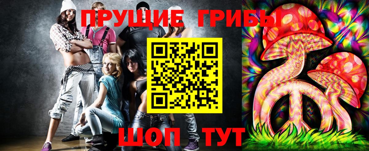 закладка  Вход с VPN  Псилоцибиновые грибы мухоморы  Новоалтайск  Псилоцибиновые грибы мухоморы 